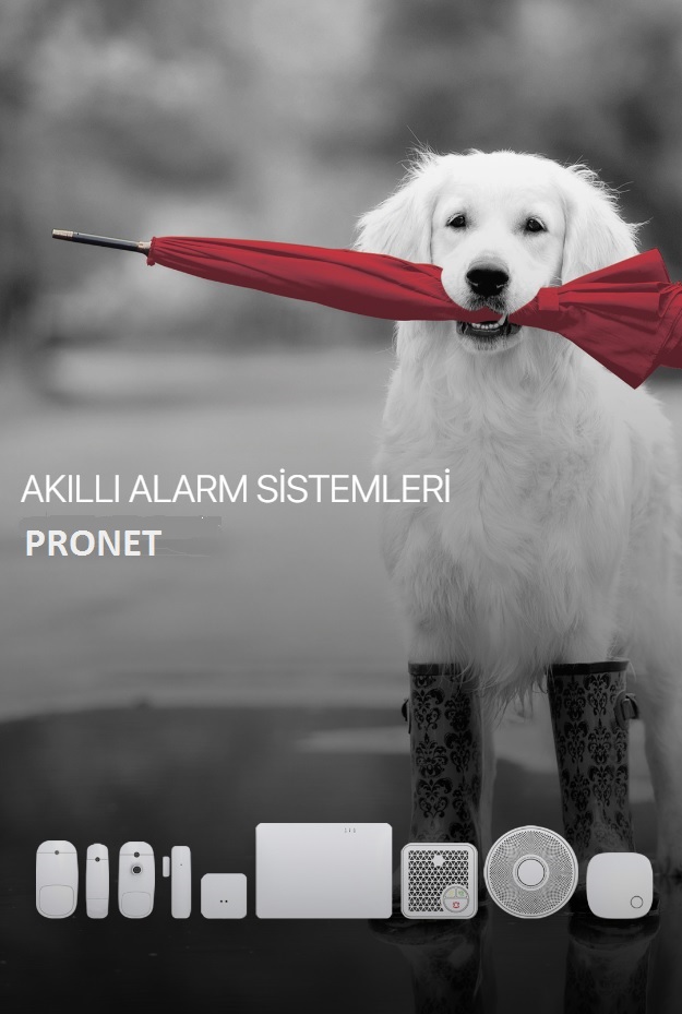 Alarm Sistemleri